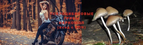 COCAINE Козельск