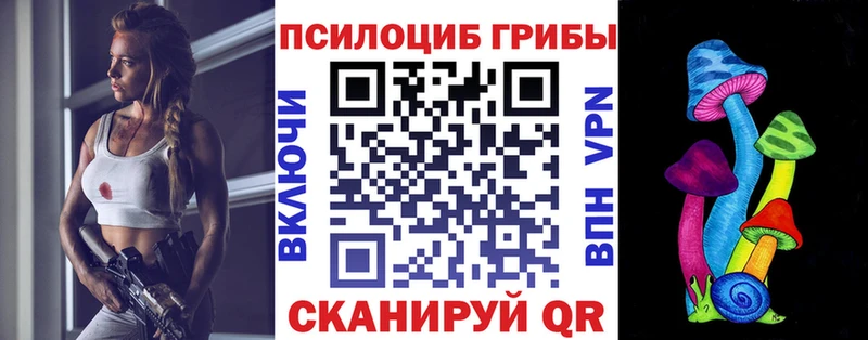 Псилоцибиновые грибы Psilocybe  Купить закладки  Зверево 